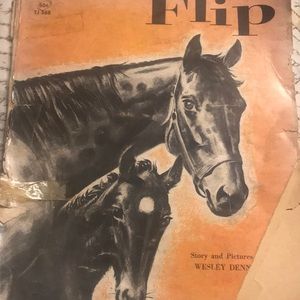 Flip—- Horse book super great pictures inside.. still has love to give 💜